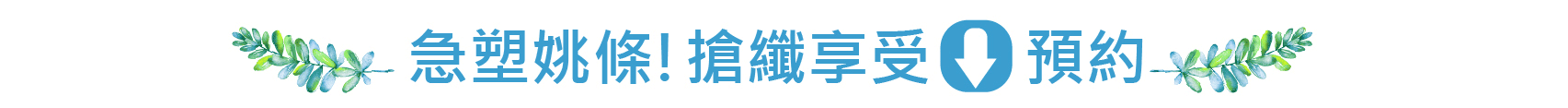 瘦身預約
