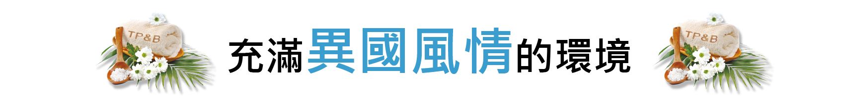資產 29-100
