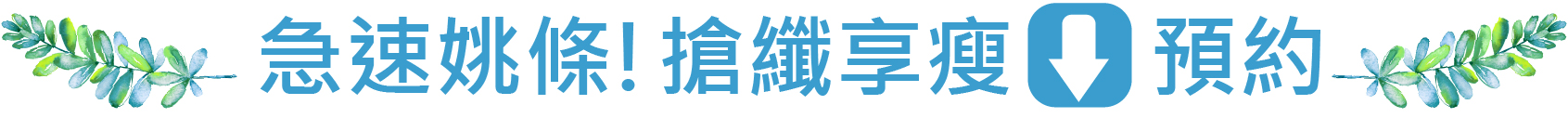 Tp&b客制化精油芳療文章段落視覺